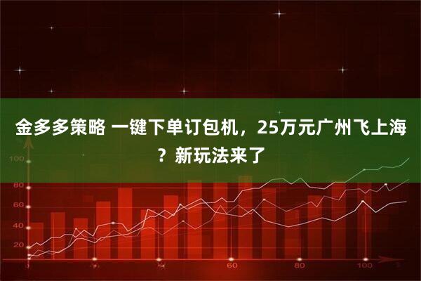 金多多策略 一键下单订包机,25万元广州飞上海?新玩法来了