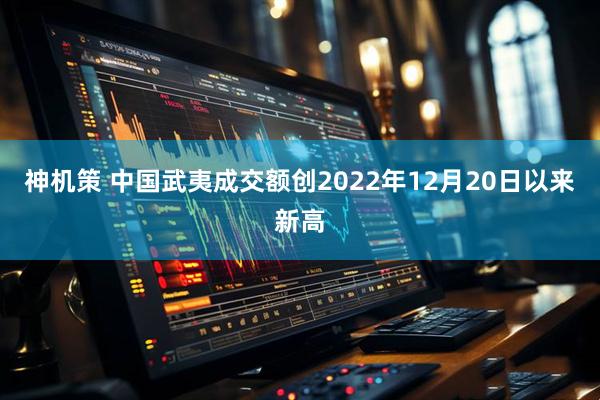 神机策 中国武夷成交额创2022年12月20日以来新高