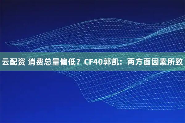 云配资 消费总量偏低？CF40郭凯：两方面因素所致